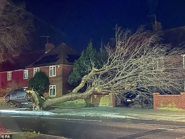 UK, Ireland, and Netherlands Unveil Public-Submitted Names for Winter Storms, Including Amy, Bram, and Chandra