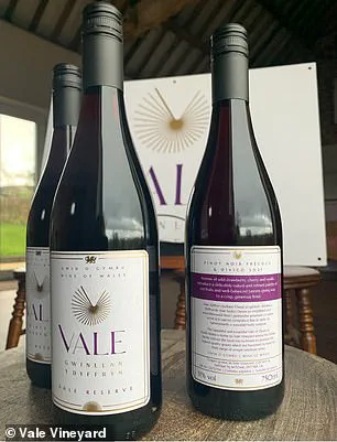 North Wales' Emerging Viticulture: A New Frontier for Pinot Noir in a Changing Climate