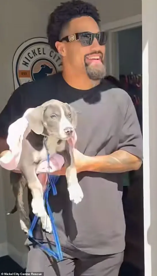 Successful Rescue Mission Highlights Growing Partnership Between Shakir and Nickel City Canine Rescue