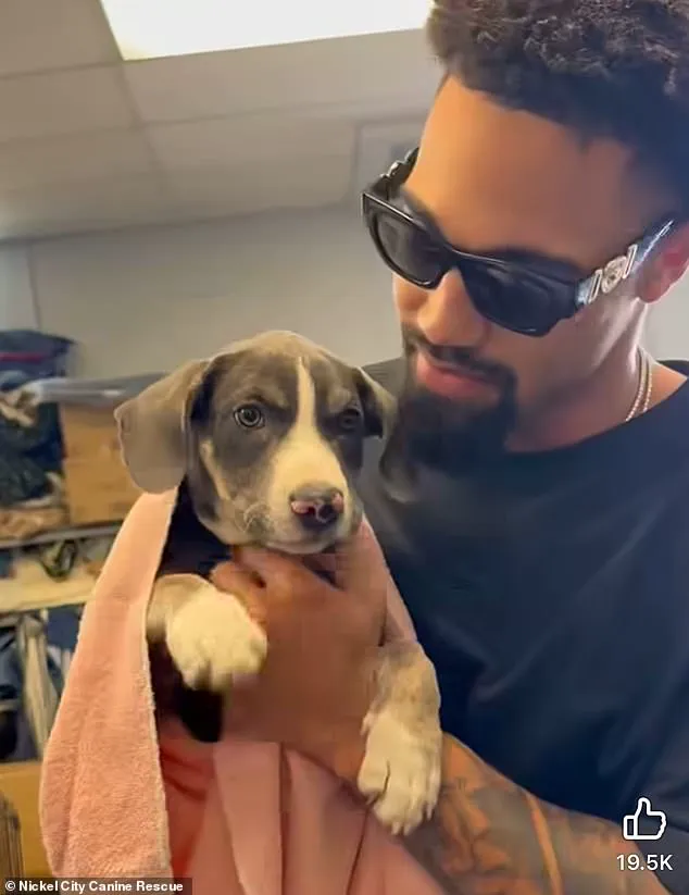 Successful Rescue Mission Highlights Growing Partnership Between Shakir and Nickel City Canine Rescue