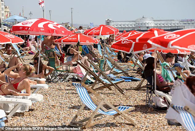 The Unseen Link: Climate Change, Summer Indulgences, and the Rising Obesity Crisis