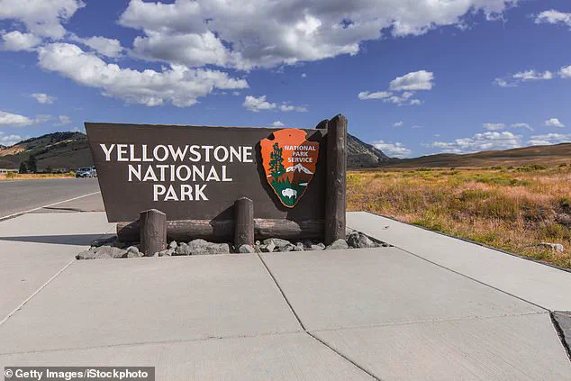 Viral Video of 'Dancing' Bison Sparks Controversy as Experts Warn of Hidden Danger