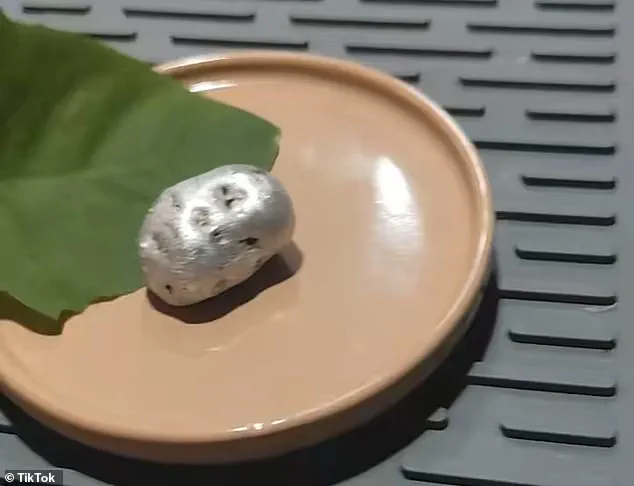 Alleged Discovery of Unidentified Organism in Panamanian Meteorite Sparks Global Attention