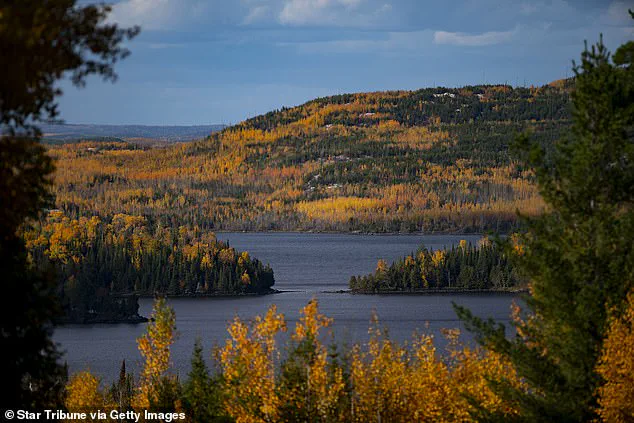 The Science Behind Autumn's Colorful Transformation: Factors Influencing Fall Foliage