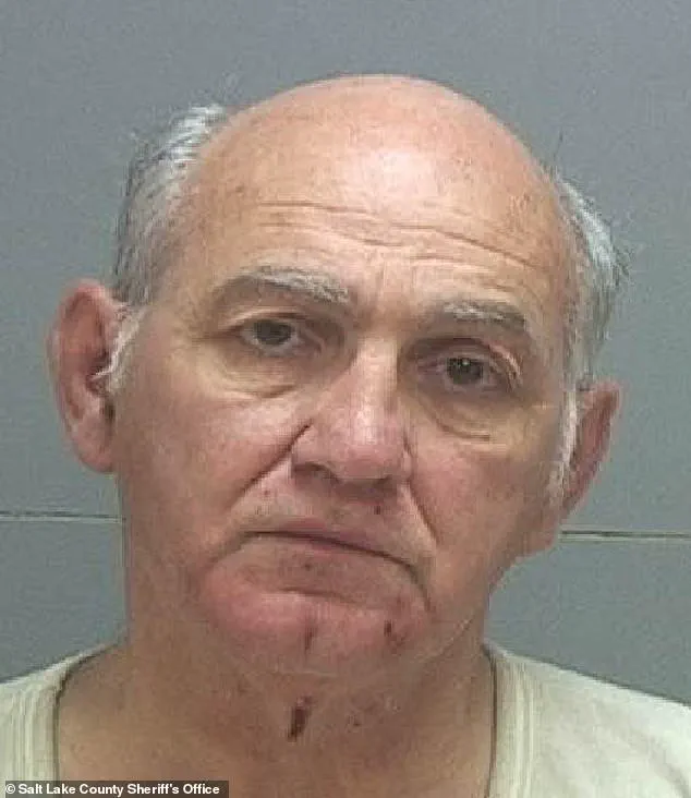 When False Confessions Reveal Hidden Dangers: The Role of Government in Ensuring Public Safety and Combating Child Pornography