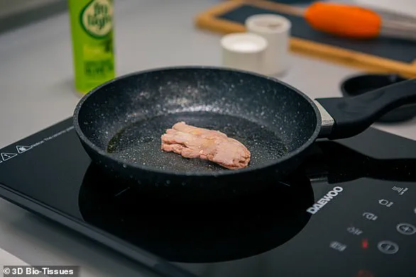 EU Restricts Meat-Only Terms in Food Labeling, Prompting Industry and Consumer Reactions