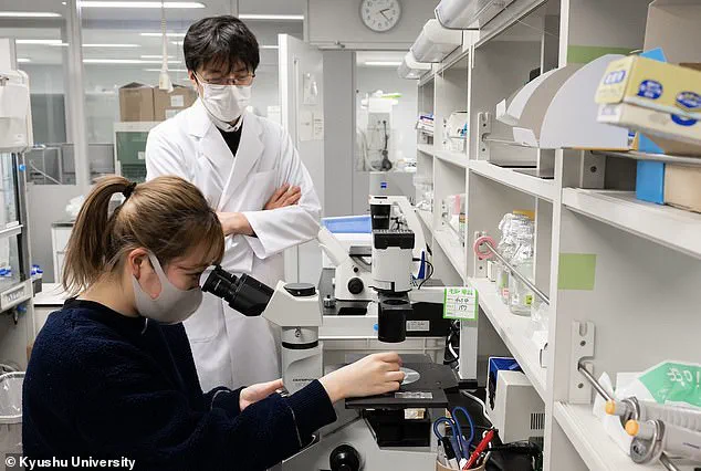 Breaking Barriers: Scientific Advancements Grant Privileged Access to Genetic Parenthood for Same-Sex Couples