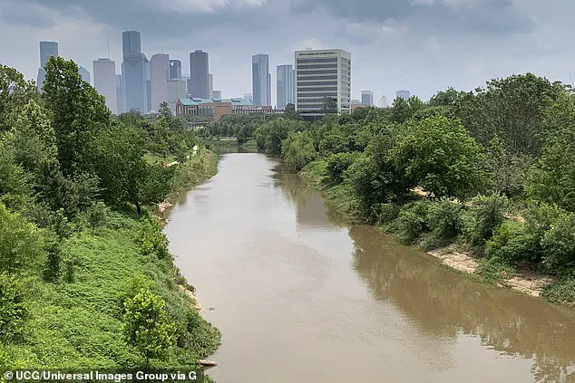 Discovery of 23 Bodies in Houston Sparks Speculation and Official Denial as Investigation Continues