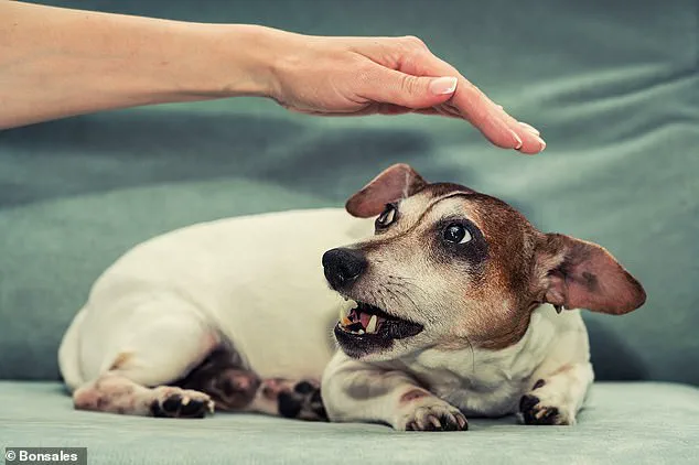 Late-Breaking: On-Screen Psychopaths' Animal Cruelty Raises Urgent Real-World Concerns