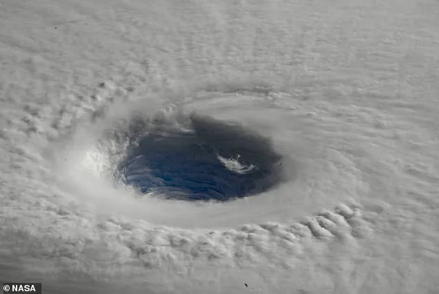 Super Typhoon Halong's Near-Miss with Tokyo Raises Concerns Over Western US Weather, as Meteorologists Warn of 'Category 4 Force'