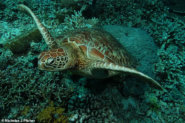 Urgent Warning: 48,646 Species Face Extinction as IUCN Updates Red List