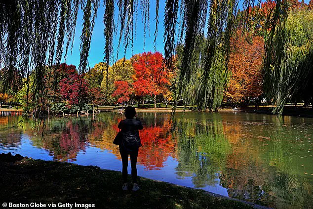 Drought Alters New England's Autumn Tourism, Raising Economic Concerns