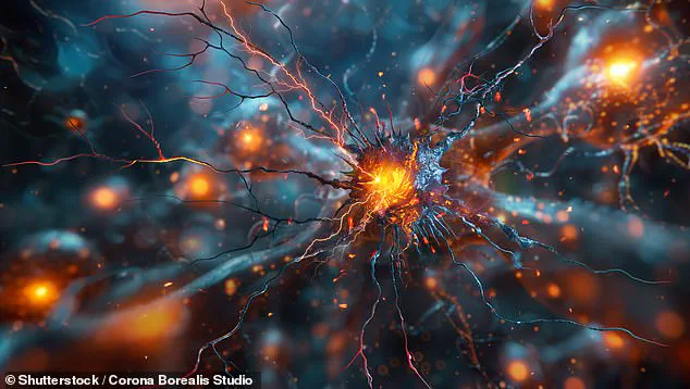 Scientists Identify a 'Hidden Sixth Sense' in Humans: Interoception