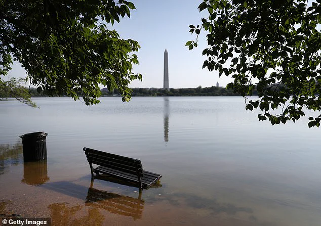 Millions at Risk of Submersion by 2100, Warns McGill University Study on Rising Sea Levels