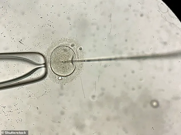 Behind Closed Doors: How Exclusive Access to Donor Eggs Determines IVF Success for Women Over 43