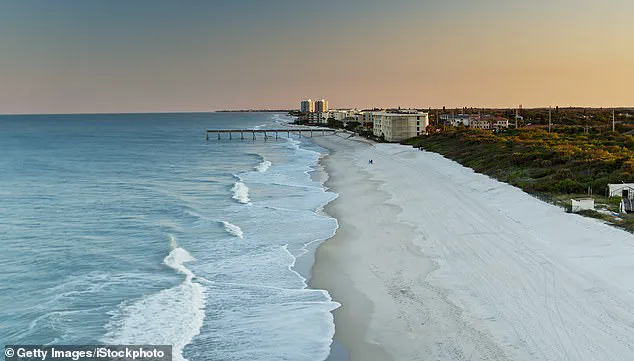 Toxic Algae in Florida Waters May Link to Alzheimer's-Like Changes in Dolphins, Raising Questions About Environmental Regulations