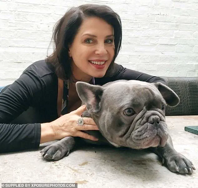 UK Vets Urge Public to Reconsider Flat-Faced Dog Breeds Amid Surge in Surgeries and Health Concerns