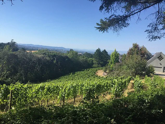 Clerical Error in Regulations Sparks Concern Over Corporate Expansion in Sebastopol