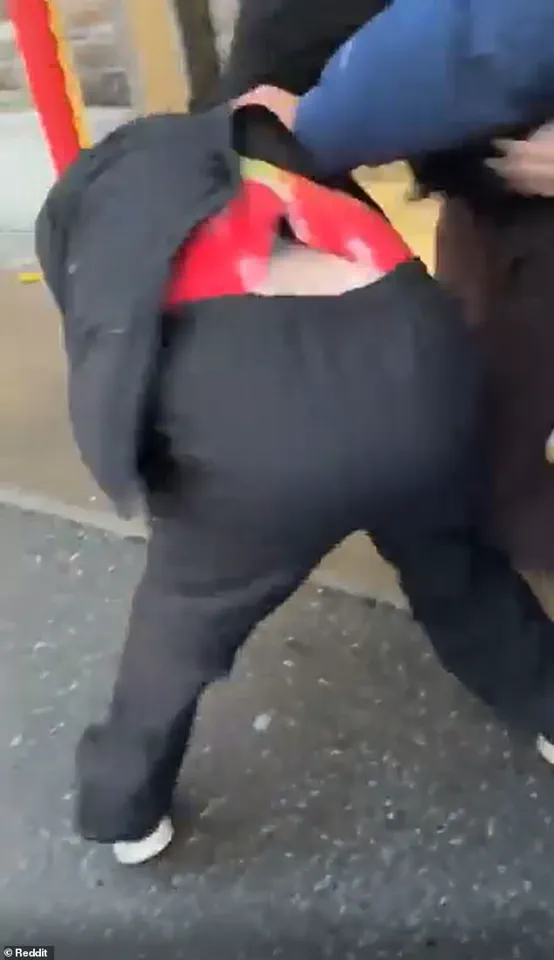 Late-Breaking Brawl Sparks Outside Ottawa Costco Over Pokémon Card Dispute, Prompting Swift Police Response