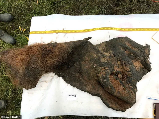 Sweden and Denmark Scientists Achieve Breakthrough with World's Oldest RNA Extraction from Woolly Mammoth, Published in Recent Study