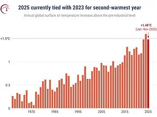 2025: Britain's Hottest Year on Record, Met Office Calls It a 'Clear Demonstration of the Impacts of Climate Change'