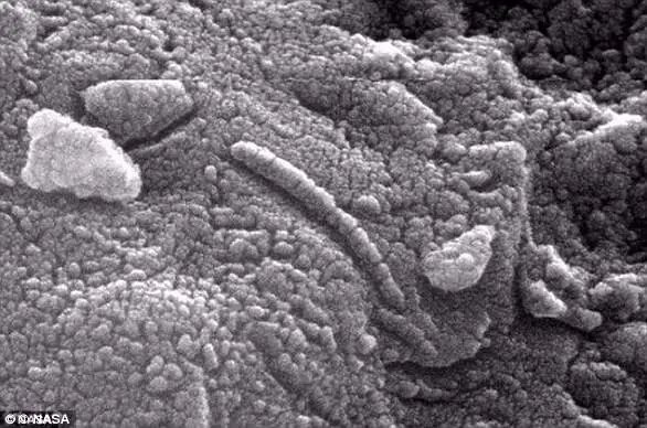 Dame Maggie Aderin-Pocock Predicts Confirmation of Extraterrestrial Life Within 50 Years