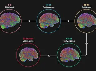Study Reveals Human Physical Ability Peaks at Age 35, Challenging Aging Assumptions