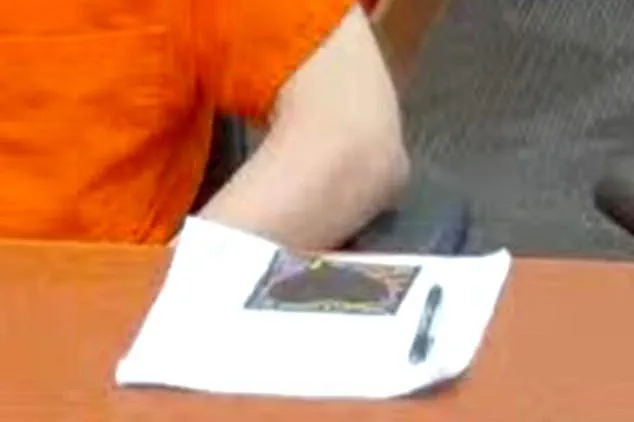 Melissa Kohberger Clarifies Meaning Behind Bryan Kohberger's Controversial Black Heart Drawing During Sentencing