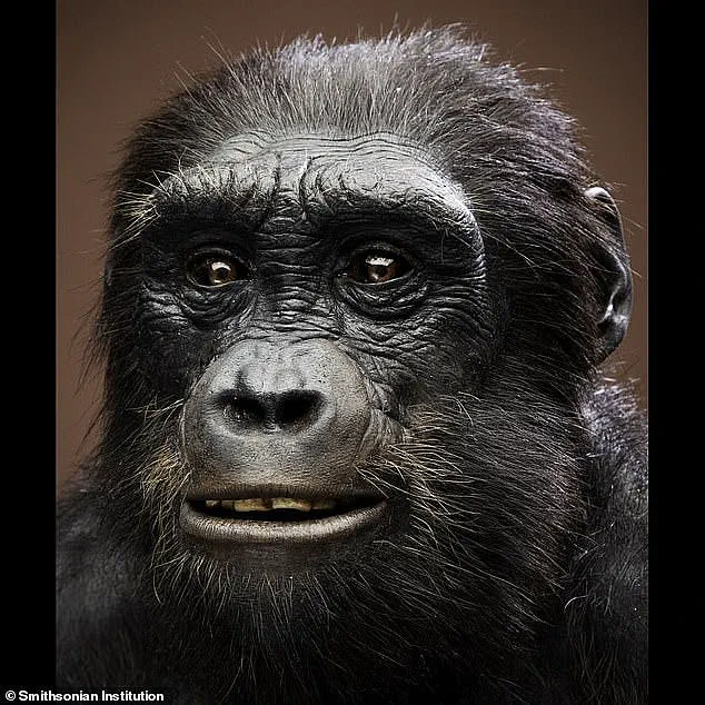 Exclusive Glimpse into Human Evolution: Scientists Pinpoint the Start of Bipedalism in Africa Seven Million Years Ago