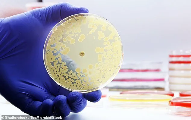 Study Reveals E. coli Contamination in Airline Drinking Water, Raising Health Risks on Board