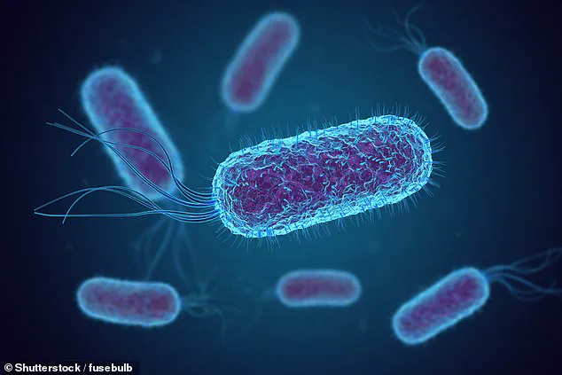 Study Reveals E. coli Contamination in Airline Drinking Water, Raising Health Risks on Board