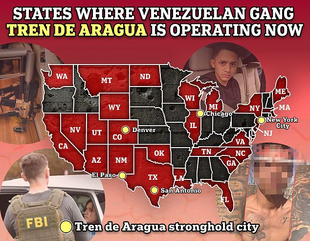 Federal Officials Warn of Potential Resurgence of Violent Criminal Networks Amid Trump's Immigration Policies and Maduro's Capture