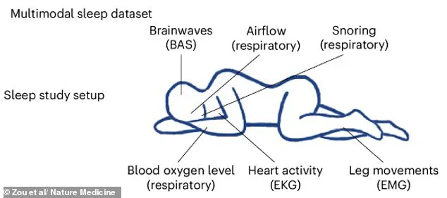 Breakthrough AI Program SleepFM Reveals Sleep Data's Role in Predicting Major Diseases Years in Advance