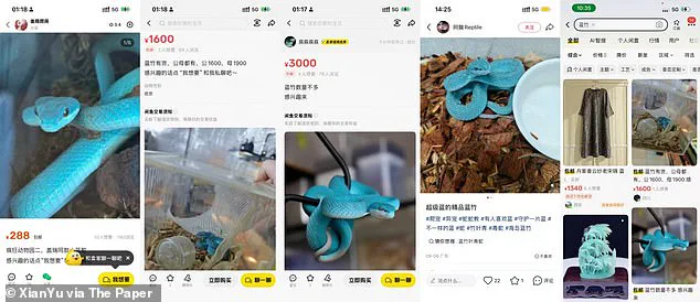 Zootopia 2 Sparks Surge in Demand for Venomous Indonesian Pit Vipers, Raising Public Safety Concerns
