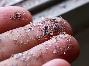 University of Leeds Study Finds Rural Woodlands in Britain Have Higher Microplastic Pollution Than Urban Centers, Challenging Assumptions