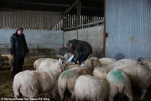 Late-Breaking: Prince William's Hands-On Farm Visit at Bridge End Farm Highlights Rural Commitment
