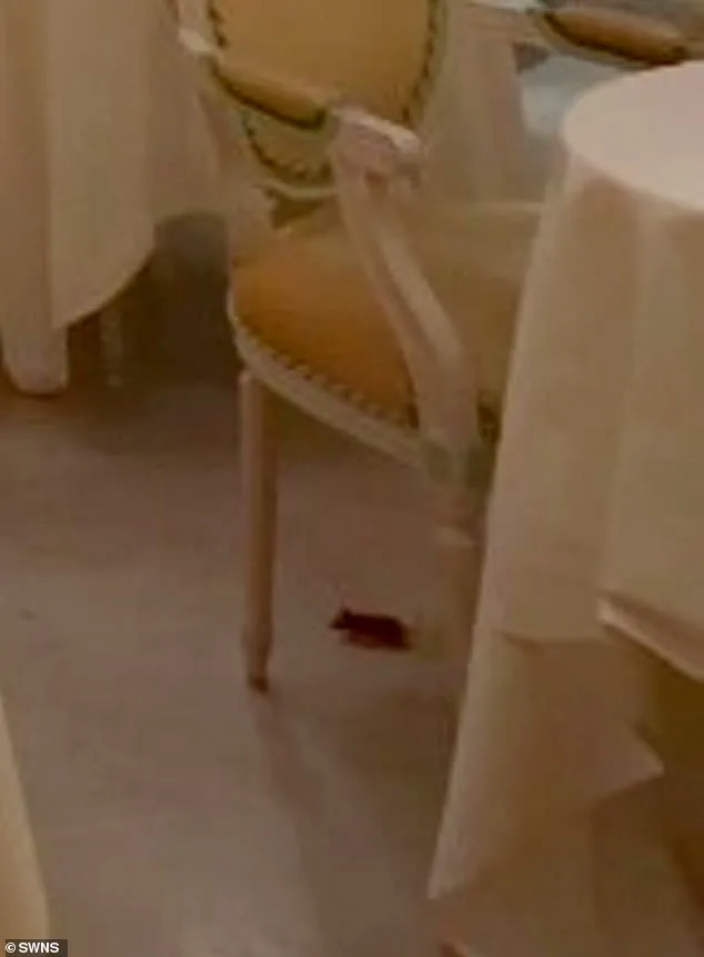 Breaking: Luxury Icon The Ritz London Shaken by Unprecedented Incident During Afternoon Tea