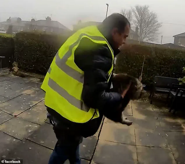 Cat Nora Safely Returned to Owner After Ring Doorbell Footage Reveals Alleged Theft by Amazon Delivery Driver