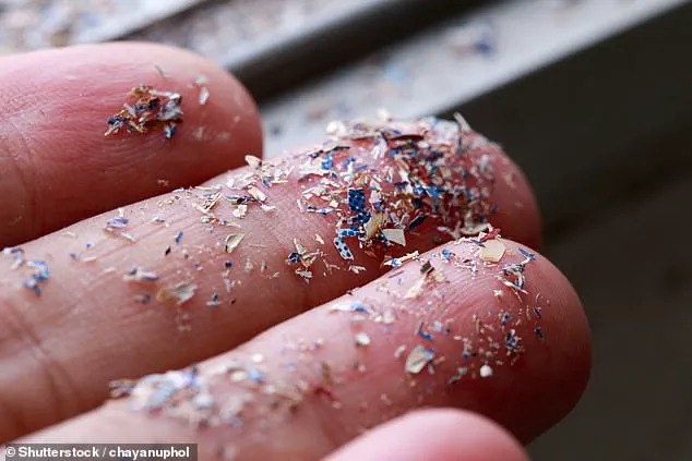 New Study Shakes Up Microplastic Pollution Estimates, Urging Reevaluation