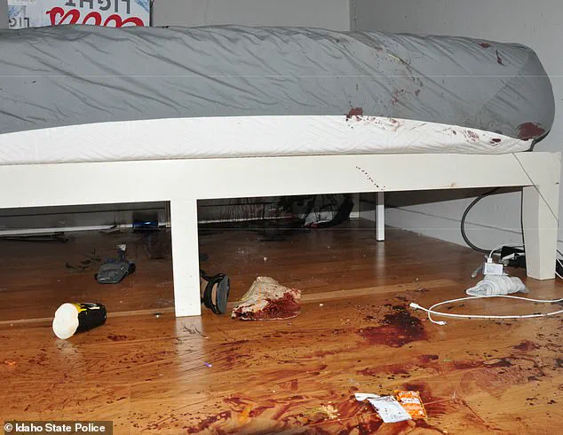 Previously Unseen Crime Scene Photos from Idaho Murders Released, Revealing Chilling Details, as Idaho State Police Provide New Insights