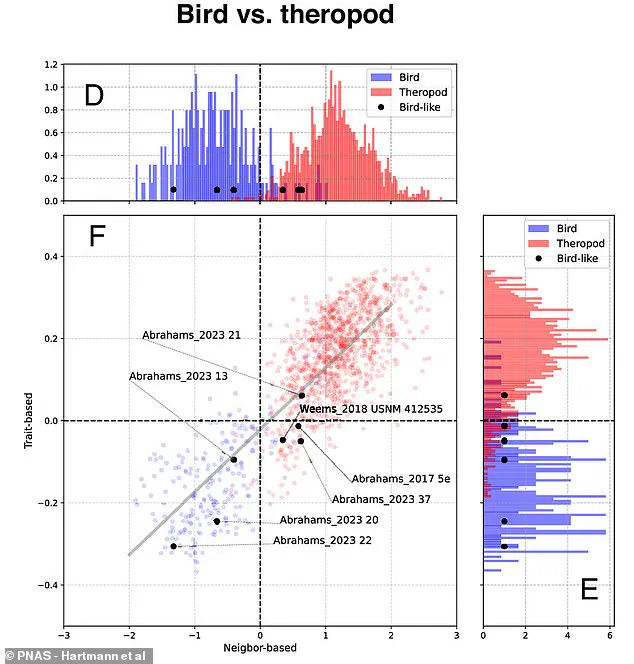 AI App Redefines Understanding of Bird Evolution Through Dinosaur Footprint Analysis