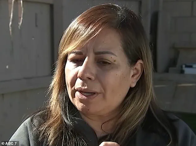 Heart-Wrenching Tragedy: California Mother's Grief After Wrong-Way Crash Claims Two Children, Shocks Community