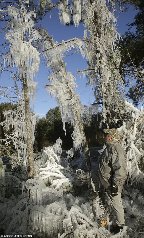 Unprecedented Cold Snap and Storm System Set to Impact Miami and East Coast
