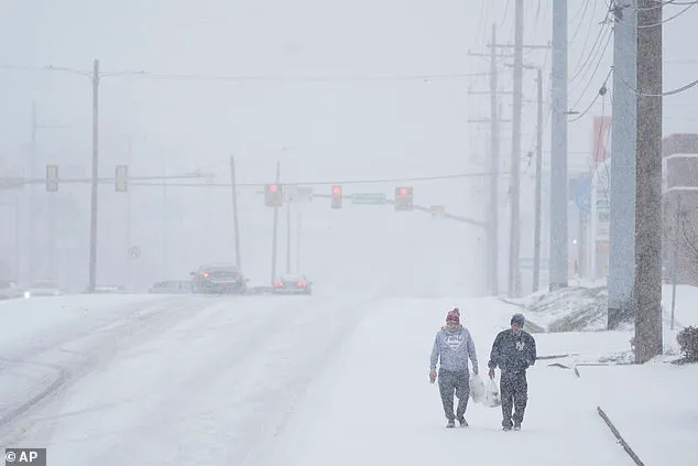 Nashville Family's Winter Storm Survival Efforts Clash with Homeowners' Association Regulations, Fueling Community Debate