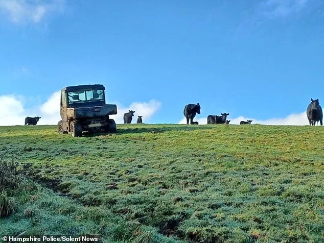 Firefighters Rescue Man Trapped in Tree After Angry Cow Chase on Isle of Wight