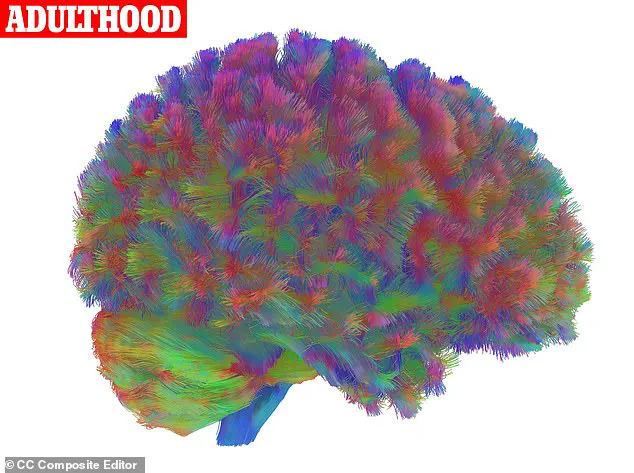Why the 40s Are the Most Exhausting Decade: Unraveling the Science Behind Midlife Fatigue