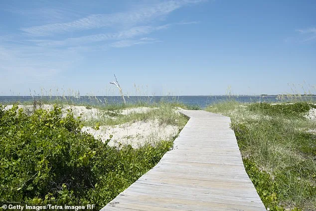 Massive Great White Shark Contender Spotted Near Cape Fear, NC During Migratory Journey