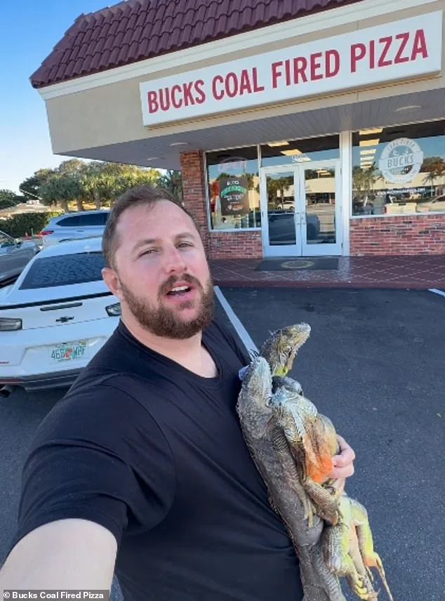 Florida Pizza Shop Sparks Controversy With Iguana Meat 'Everglades' Pie