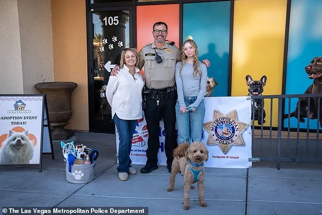 Jet Blue's Rescue: How Community and Law Enforcement Efforts Saved an Abandoned Airport Dog