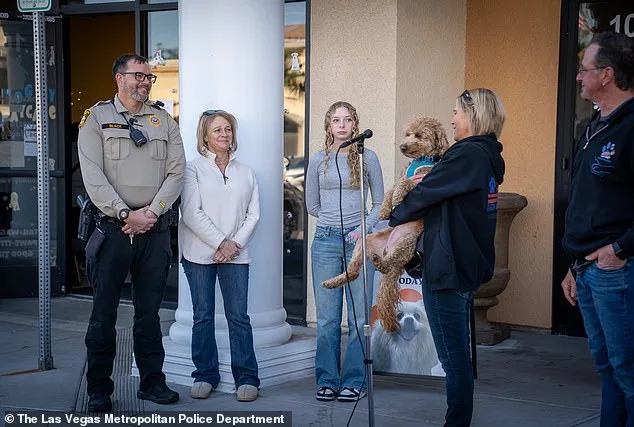 Jet Blue's Rescue: How Community and Law Enforcement Efforts Saved an Abandoned Airport Dog